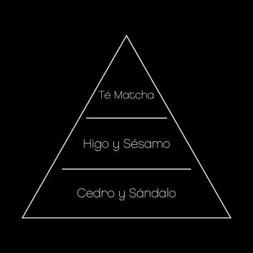 WhatsApp Image 2025-08-13 at 12.08.07